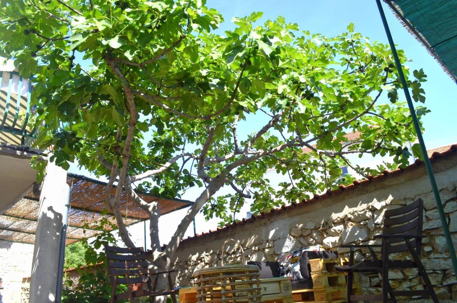 Apartmani Spanja Vodice Zewnętrze zdjęcie